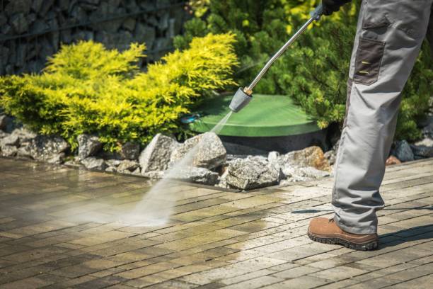 Best Sidewalk and Walkway Cleaning  in Miami Shores, FL