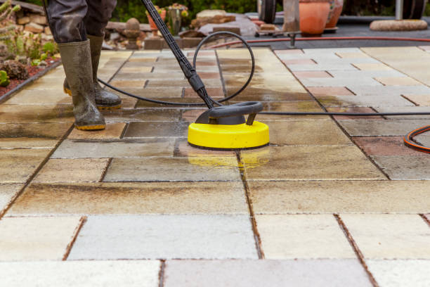 Animal Enclosure Cleaning in Miami Shores, FL